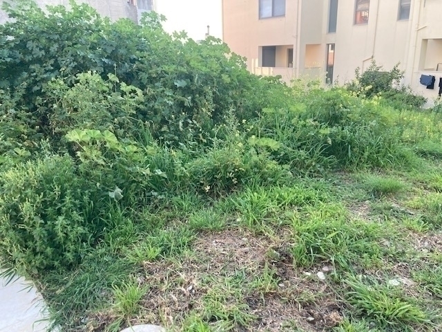 (Προς Πώληση) Αξιοποιήσιμη Γη Οικόπεδο || Ν. Αχαϊας/Πάτρα - 200 τ.μ, 59.000€ 
