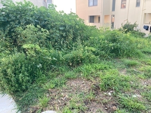 (For Sale) Land Plot || Achaia/Patra - 200 Sq.m, 59.000€ 