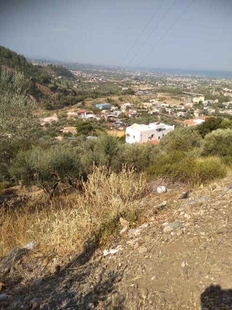 (Προς Πώληση) Αξιοποιήσιμη Γη Οικόπεδο || Ν. Αχαϊας/Πάτρα - 531 τ.μ, 40.000€ 